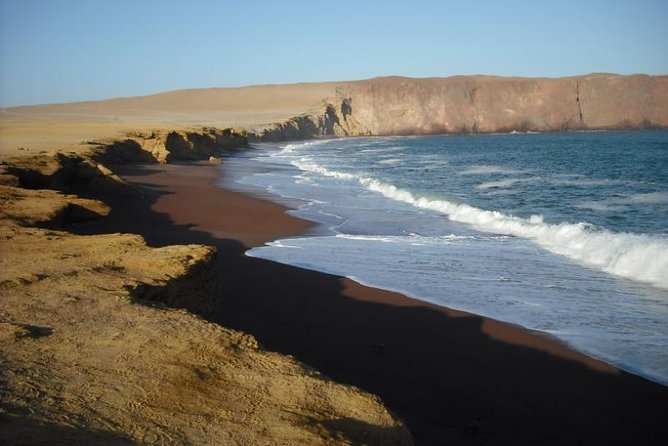 Ballestas Islands and Paracas National Reserve Day Trip from Paracas - What to pack: wind-proof layers, binoculars, and sun protection