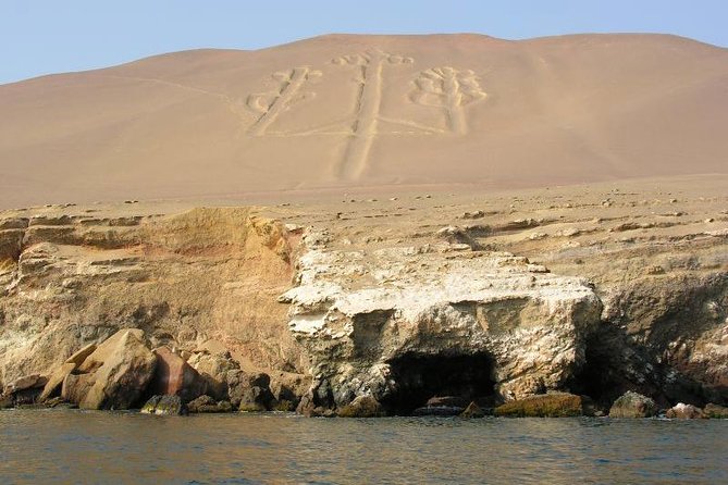 Ballestas Islands and Paracas National Reserve Day Trip from Paracas - Price and what you actually get for $34