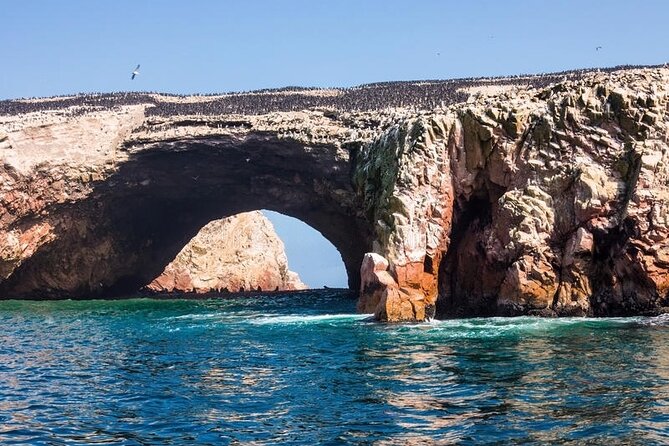 Ballestas Islands excursion from Paracas - Key things to know before you go