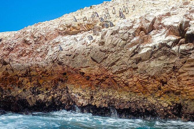 Ballestas Islands excursion from Paracas - A smart 2-hour route from Paracas