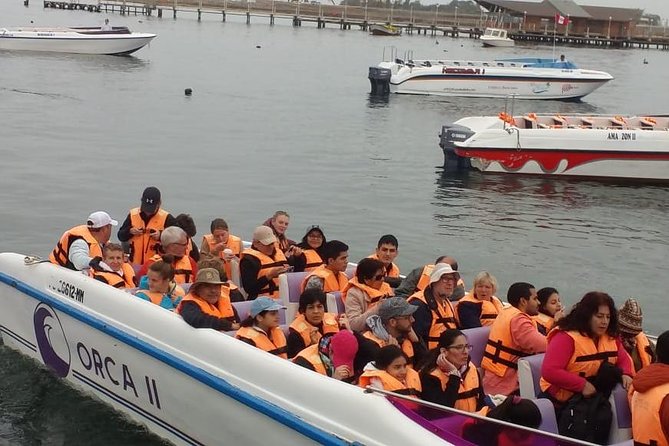 Ballestas Islands Group Tour from Paracas - Price And Value: $15 Base Fare Versus Port Fees