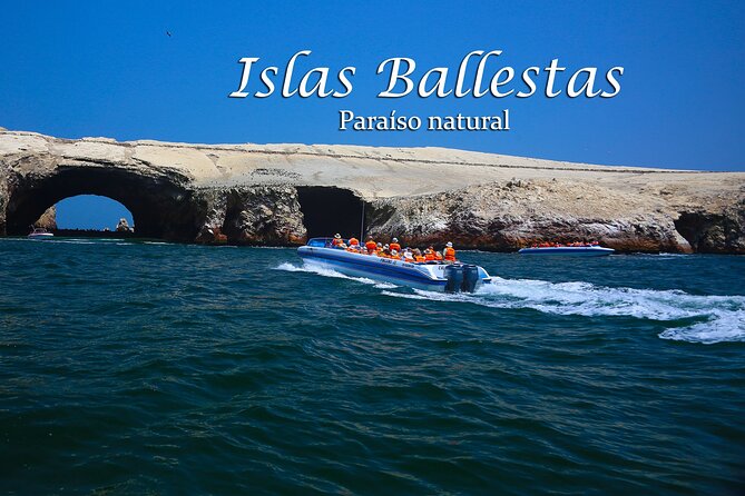Ballestas Islands & National Reserve of Paracas from Ica - Paracas National Reserve: Playa Roja, Lagunillas swim time, and La Mina