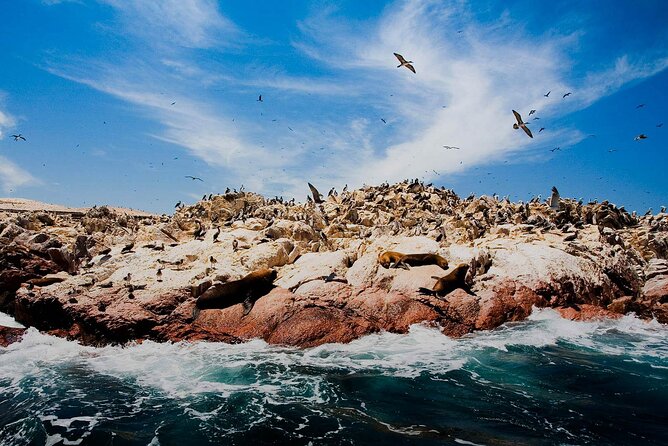 Ballestas Islands & National Reserve of Paracas from Ica - Mirador Istmo: where the coast makes sense