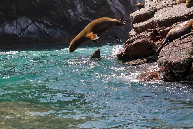 Ballestas Islands & National Reserve of Paracas from Ica - Price and logistics: what you pay, what you must budget extra