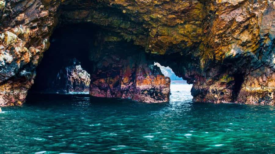 Ballestas Islands & Paracas National Reserve from Paracas - Key points to know before you go