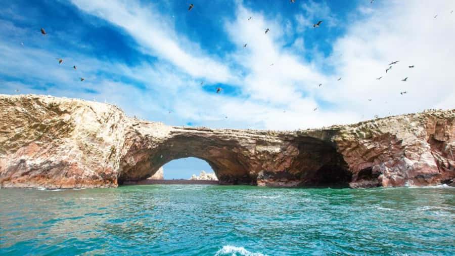Ballestas Islands & Paracas National Reserve from Paracas - Who This Tour Fits Best (and Who Might Want a Different Plan)