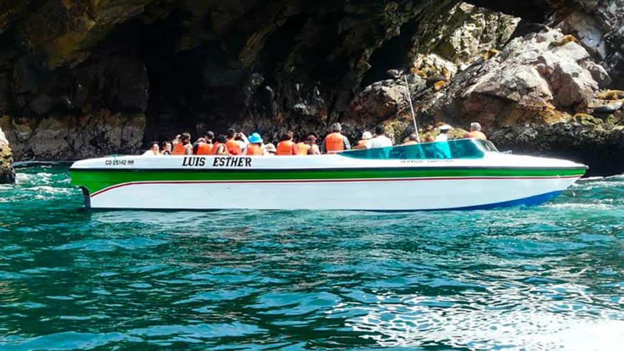 Ballestas Islands & Paracas National Reserve from Paracas - Should You Book This Tour?