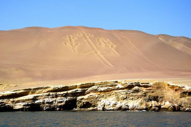 Ballestas Islands Sightseeing Boat Ride from Paracas - Guano, nitrogen, and the surprise science behind the islands
