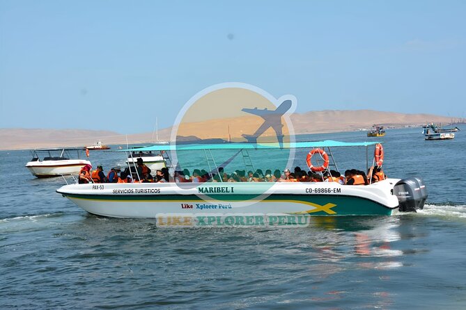 Ballestas Islands Tour Boat with roof - A roofed speedboat run from Paracas, built for a quick wildlife hit