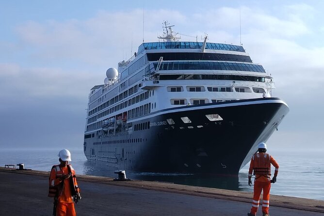Ballestas Islands tour from Pisco CRUISESHIP TERMINAL - Key things I’d plan around