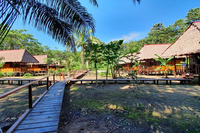 Best of Tambopata 2 nights by JunglePro - Condenado Lake and the Clay Lick Target: Birdwatching That Feels Like a Hunt
