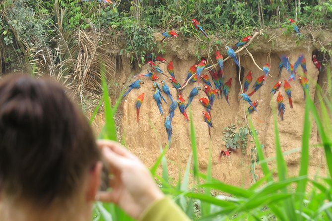 Best of Tambopata 3 nights by JunglePro - Key highlights at a glance