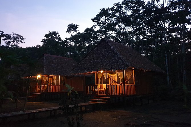 Best of Tambopata 3 nights by JunglePro - Day 3: Sachavacayoc Lake, Giant Otter Country