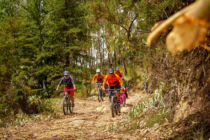 Bike and Ceviche Tour in Cusco - MTB - Key Highlights You’ll Feel Right Away