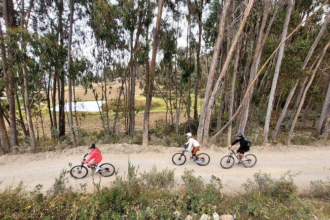 Bike and Ceviche Tour in Cusco - MTB - Yuncaypata: Where the Ride Finds Its Fun Lines