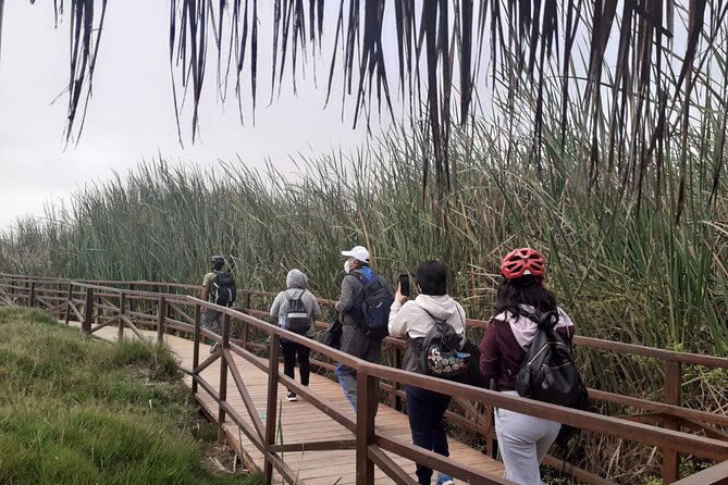 Bike Tour Discovering the Nature and History of Lima - Bikes, Gear, and the Pace You Should Expect