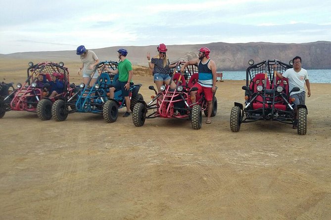 Buggy ride in Paracas National Reserve - Why Paracas National Reserve Needs Wheels