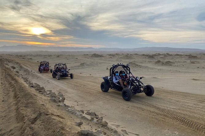 Buggy ride in Paracas National Reserve - How the Double Buggy Ride Works: Follow-Vehicle Driving, Not a Free Ride
