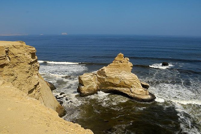 Buggy ride in Paracas National Reserve - What to Expect From Timing and Broken Equipment Risk