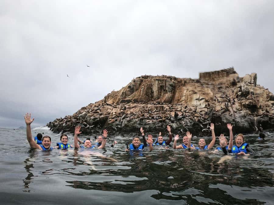 Callao: Swimming with Sea Lions Palomino Islands Boat Tour - Key Points to Know Before You Go