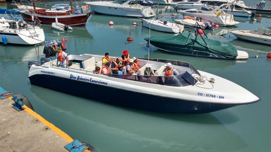 Callao: Swimming with Sea Lions Palomino Islands Boat Tour - On-Board Comfort: Life Jackets, Snacks, and Cold-Water Prep