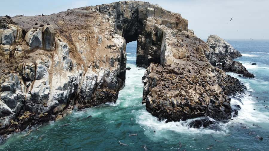 Callao: Swimming with Sea Lions Palomino Islands Boat Tour - Meeting at El Mirador in Callao and Getting Your Timing Right