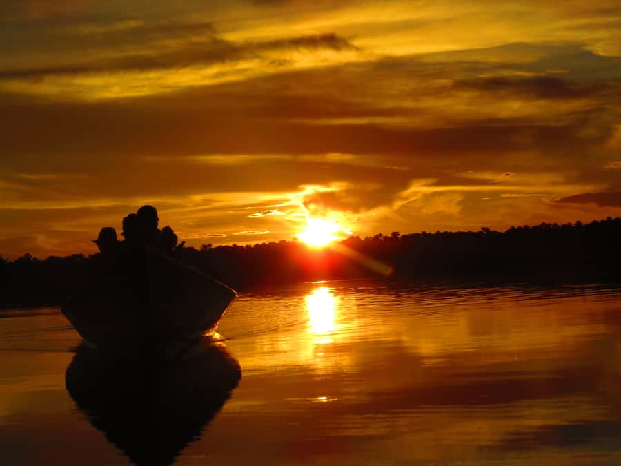 Capibara and caiman search on the Tambopata river - Key things to know before you go