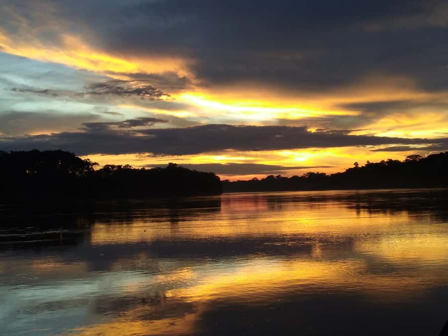 Capibara and caiman search on the Tambopata river - Why the Tambopata River at sunset is such a good wildlife bet