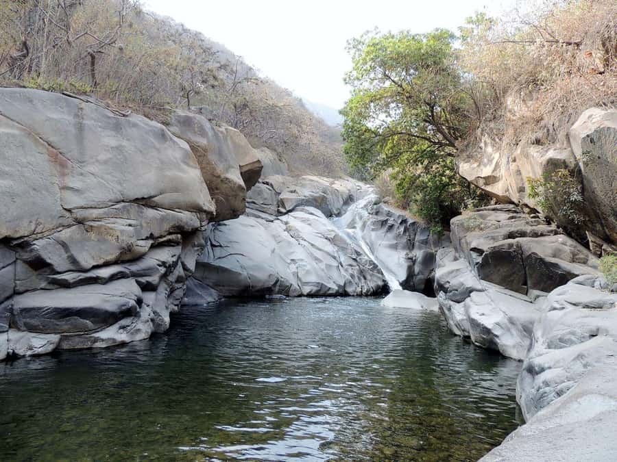 Chiclayo: Chaparri Ecological Reserve Tour - Key highlights you will feel fast