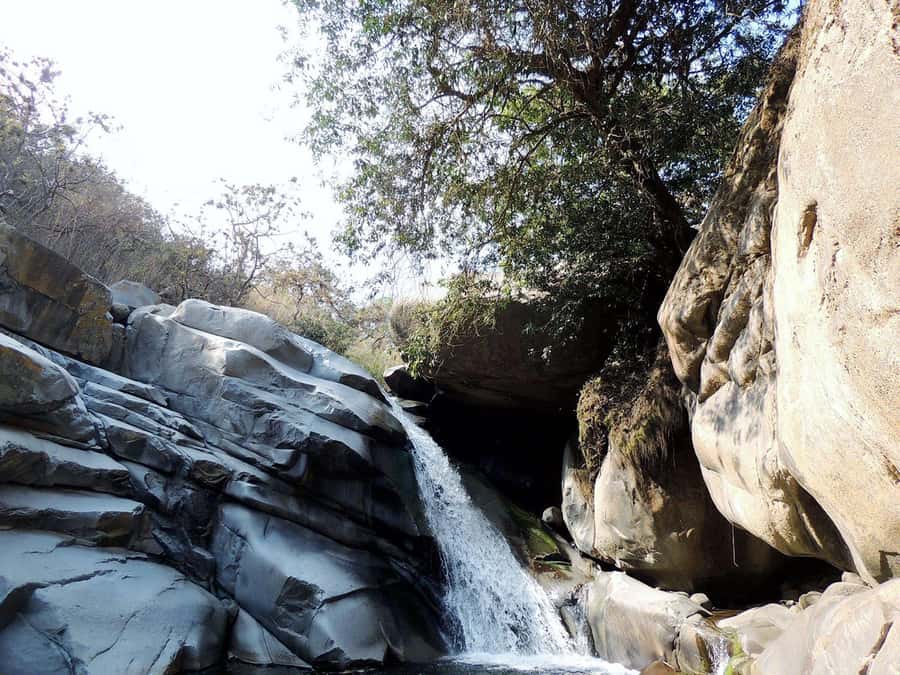 Chiclayo: Chaparri Ecological Reserve Tour - The Interpretation Center, where conservation becomes a story you understand