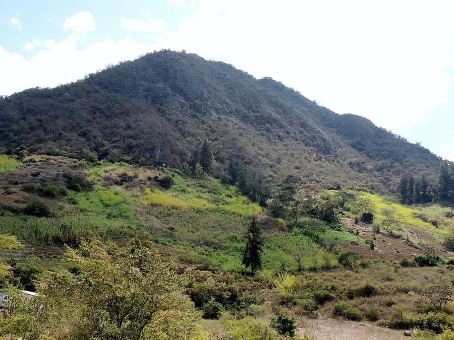 Chiclayo: Chaparri Ecological Reserve Tour - The drive from Chiclayo to Chongoyape, and why comfort matters