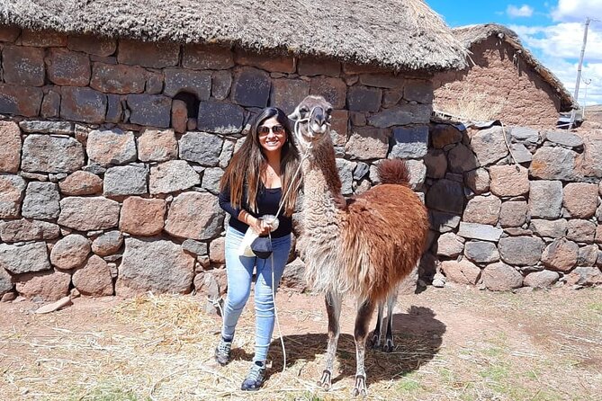 Chullpas de Sillustani Inca Cemetery Tour by Tourist Bus - Who this tour suits best in Puno