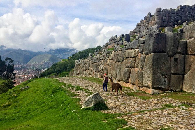City Tour in Cusco & visit Museum South American Camelid Private. - Timing, weather, and the one logistical detail you should not skip