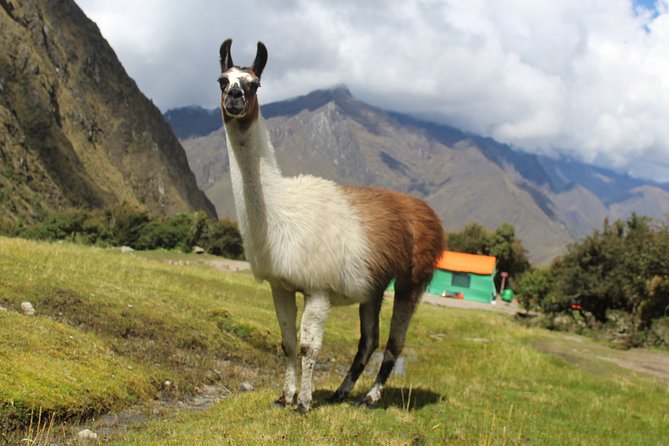 Classic Inca Trail Expedition to Machu Picchu 4D/3N - Cusco pickup and the KM-82 permit check that sets the pace