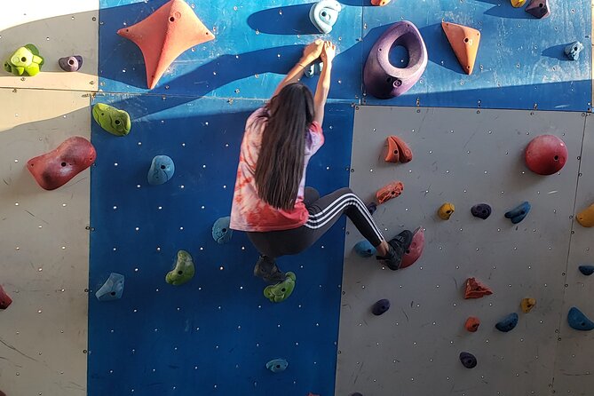 Climbing Experience in Urubamba - The Facility Around You: Boulder Wall and Palestra-Style Space