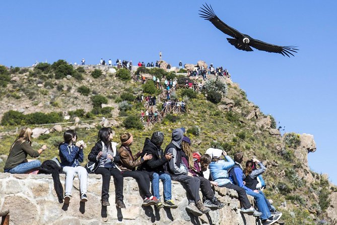 Colca 2 Days and 1 Night - Day 2: Colca Canyon, condor viewing and the depth factor