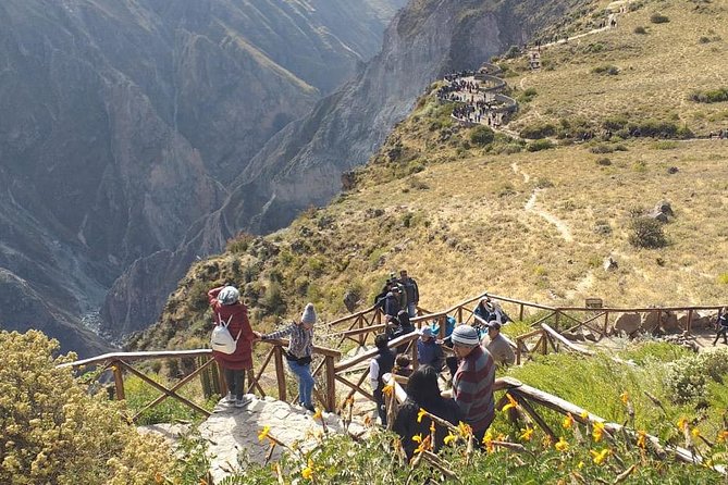 Colca 2 Days and 1 Night - Day 1 in Arequipa’s highlands: reserve wildlife first