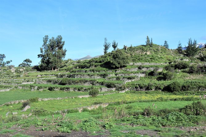 Colca Canyon / 2 Day 1 Night Trek - Key things that make this Colca trek worth your attention