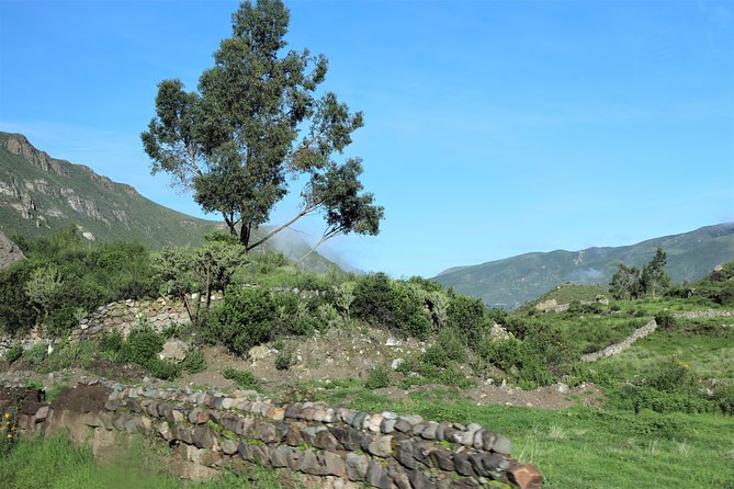 Colca Canyon / 2 Day 1 Night Trek - Chivay stop: terraced farms and the “tourist-but-not-fake” feel