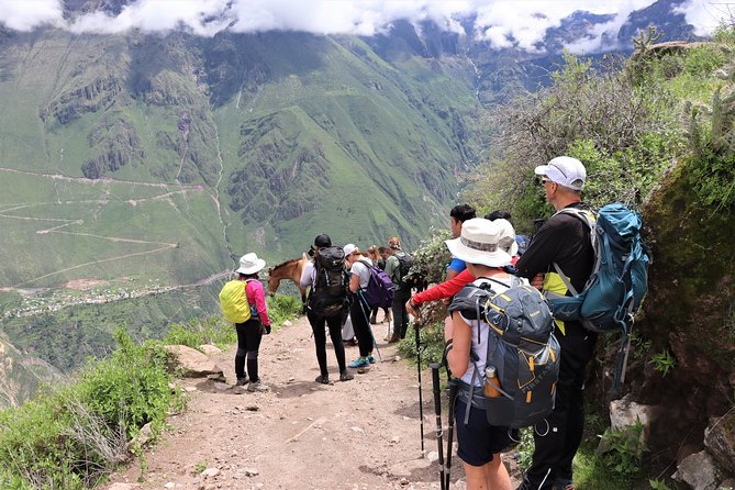 Colca Canyon / 2 Day 1 Night Trek - Cruz del Cóndor viewpoint: condors, thermals, and the 1200 m drop factor