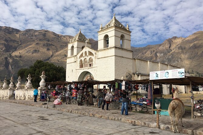 Colca Canyon 2 days from Arequipa with final transfer to Puno - Day 1: Chivay, camelids at Patahuasi, and the Patapampa volcano views