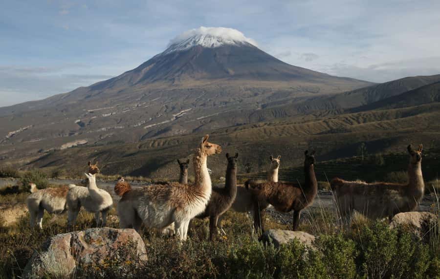 COLCA CANYON FULL DAY TOURS - Key highlights to know before you go