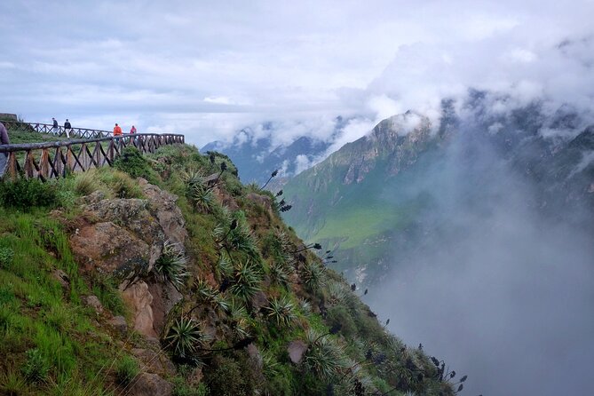 Colca Canyon Plus - What makes the guide team matter, and what you can hope for
