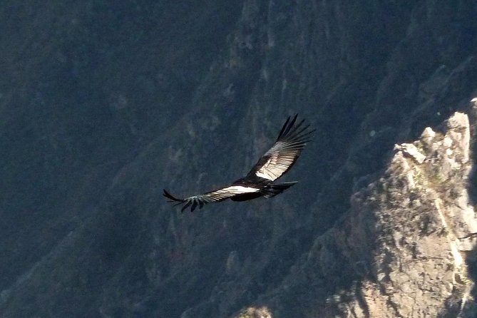 Colca Canyon Tour 2 Days - Getting to the Canyon: Pickup, the Drive, and High-Altitude Reality