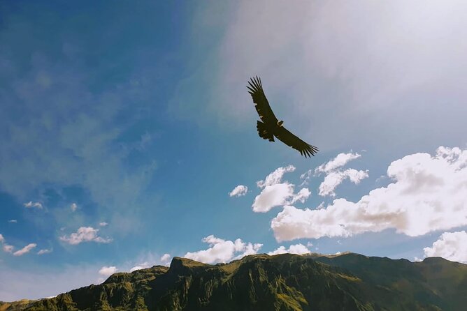 Colca Canyon Tour 2 Days - Price and Real Budget: What You Pay vs. What You Need to Add
