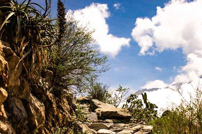 Colca Canyon Trek 3 Day 2 Night - Choosing the right guide and the right day plan