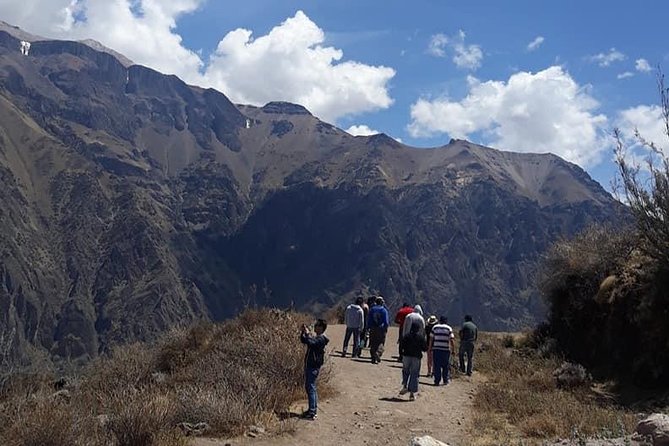 Colca Full Day - A 3am start with private pickup from Arequipa