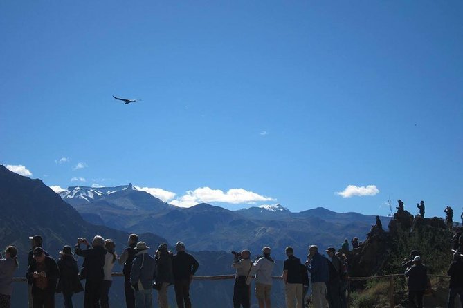 Colca Full Day - Peaje Patahuasi and the road rhythm that shapes your day