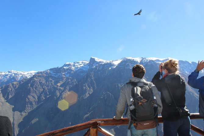 Colca Full Day Tour - Abra Patapampa: quick photos at 4,900 meters
