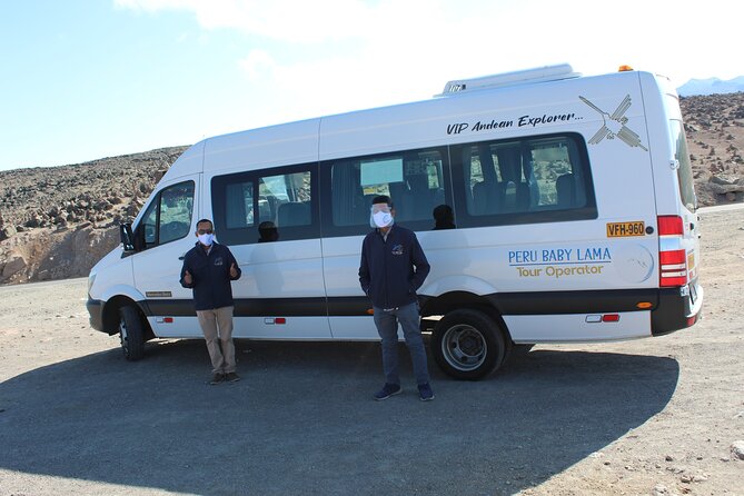 Colca Full Day Tour - Salinas y Aguada Blanca: alpacas, vicuñas, and wildlife odds